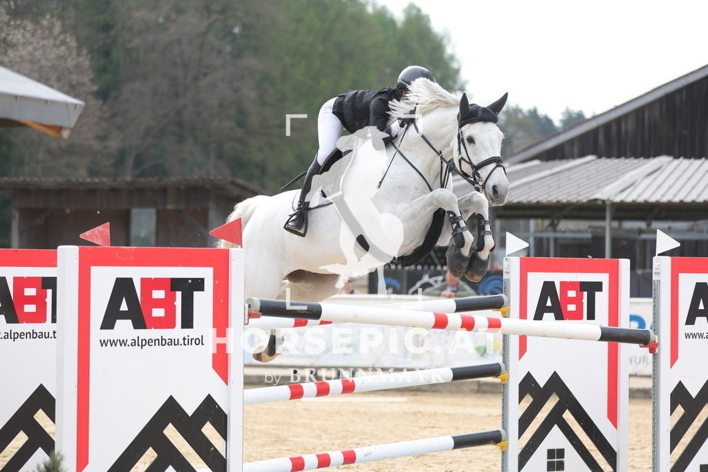 0P6A7061 | Willkommen bei Brunnmayr - Design & Fotografie – Ihrem Spezialisten für Reitturniere und Pferdeveranstaltungen in Oberösterreich, Salzburg und Bayern! Seit über 17 Jahren sind wir leidenschaftlich dabei.