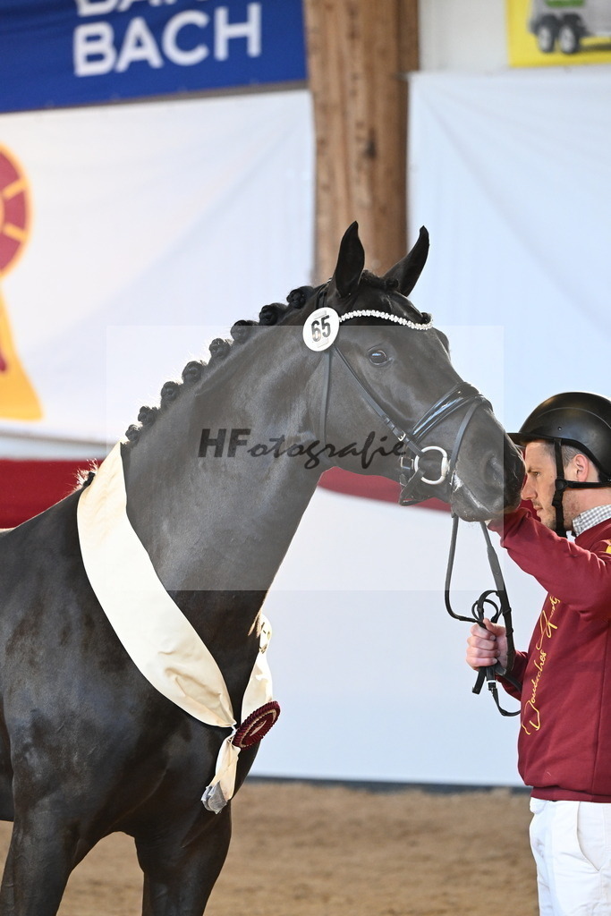 Kat.-Nr. 65 v. Springbank II VH_Reichert_2242863 | hf-fotografie - Realisiert mit Pictrs.com