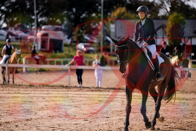 2026_10_03_Siefer-Hof_143912_Z81_09573034 | Professionelle Reitsport-, Turnier- und Eventfotografie von Robert Broda. Galerien mit ausgewählten und bearbeiteten Bildern direkt online ansehen und bestellen.