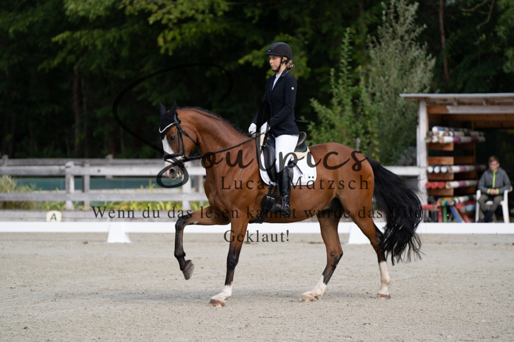 A7V06820 | Turnier/Reitfotograf