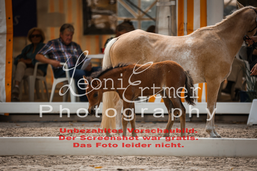 04.DoWP00057 | Leoni Ertmer Photography - Realisiert mit Pictrs.com