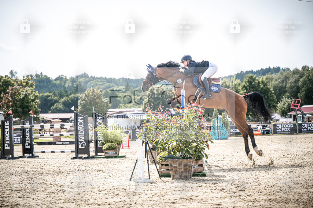 DOS_8437 | Entdecke hochwertige Reitturnierfotos von Foto Oger. Professionell, emotional und authentisch – jetzt Lieblingsmomente im Shop bestellen. - Realisiert mit Pictrs.com