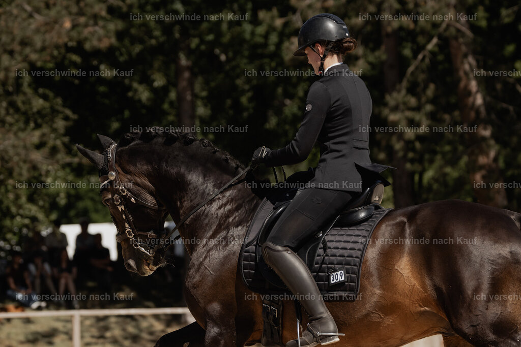 WE_SP_Stoib_309_PI2025_1473 | Pferd International München 2025