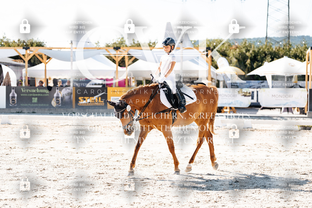 CK903283 | Turnierfotografie Pferdefotografie Trier Rheinland-Pfalz Pferdesport Reitsport Tierfotografie Sportfotografie Pferdevideo Pferdevideografie Equestrianvideography equestrianphotography  - Realisiert mit Pictrs.com