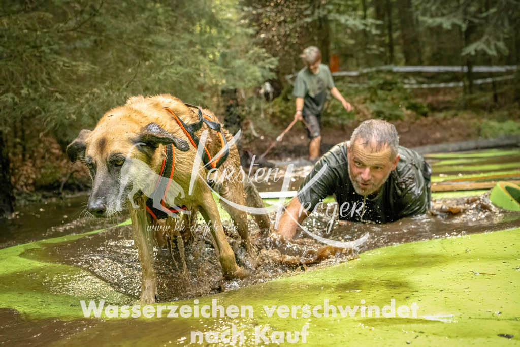 1409_ZZ91214-Bearbeitet | kk-dogfotos