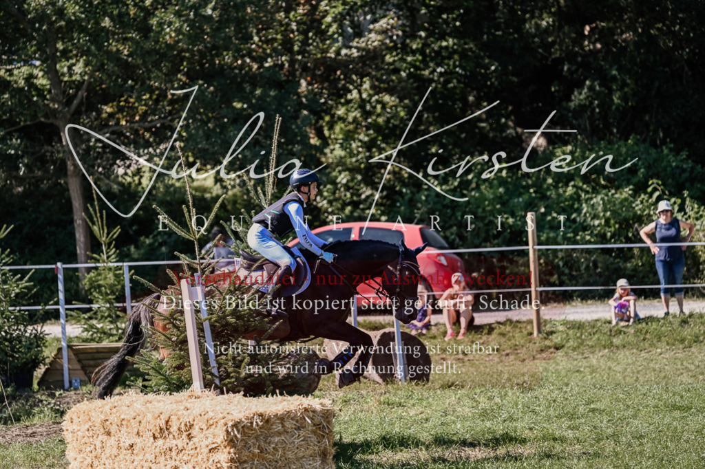 DSC_2781 | Pferde- und Turnierfotografie in Westsachsen. Pferdeportraits, Auftragszeichnungen und intuitive Kunst.