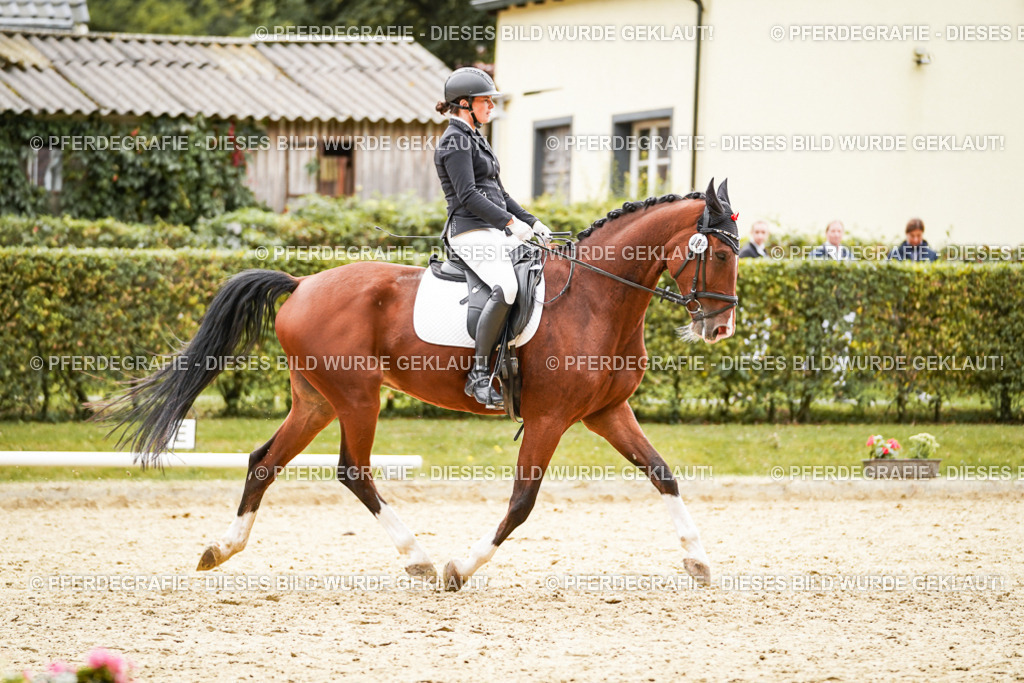 DSC03291 | Pferdegrafie