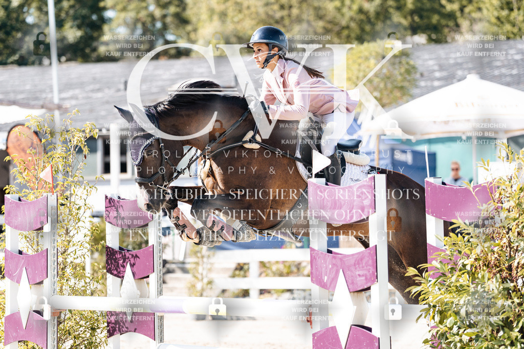 CK907715 | Turnierfotografie Pferdefotografie Trier Rheinland-Pfalz Pferdesport Reitsport Tierfotografie Sportfotografie Pferdevideo Pferdevideografie Equestrianvideography equestrianphotography  - Realisiert mit Pictrs.com