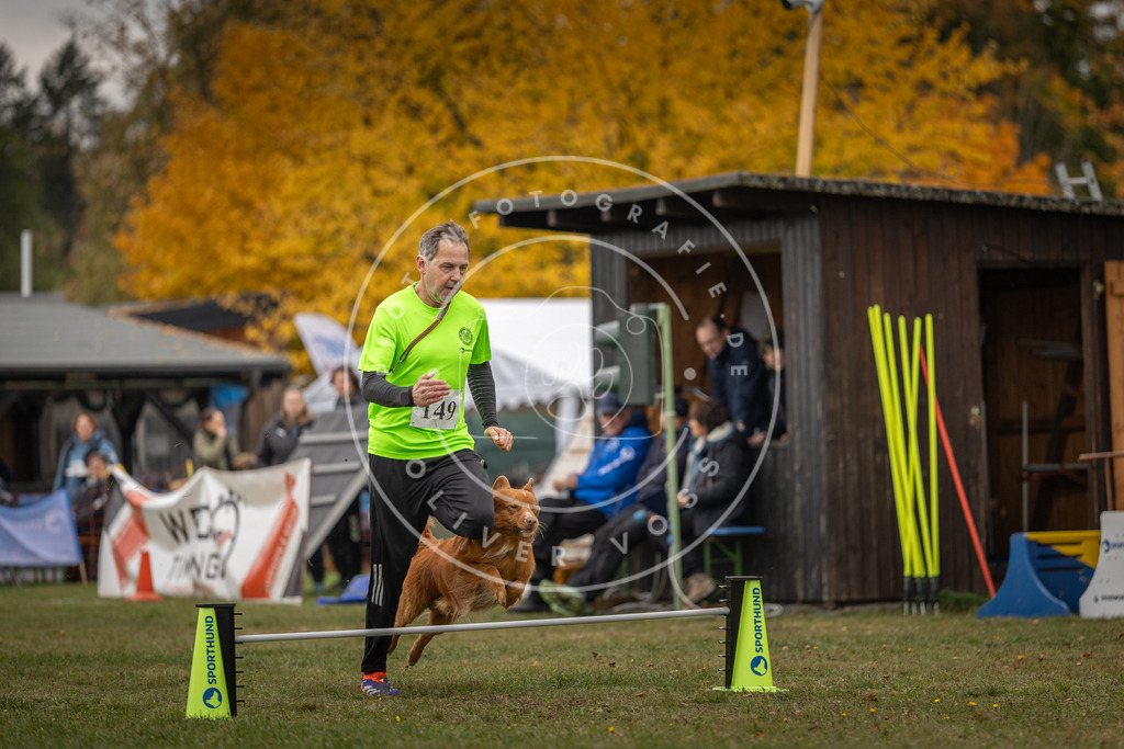 Pfotenfotografie_DV3A6082 | Hundefotografie, Tierfotograf, Pfotenfotografie, Fotoshooting Hund, Hunde Portrait, Hundesport, Hundeportraits, Heideshooting, Hunde, Sportfotograf, Hundefotograf, Turnierhundsport, THS,  - Realisiert mit Pictrs.com
