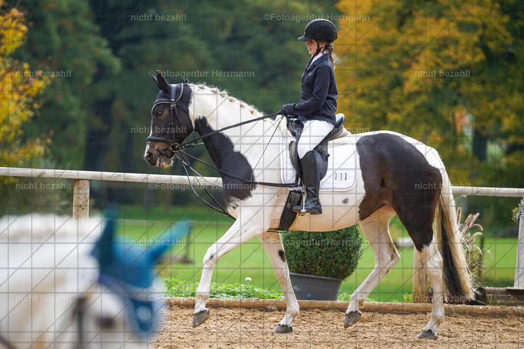 20221008-FAH01188 | Diessen am Ammersee, 2022, Dressur- und Springturnier, Reitsportbilder, Turnierfotografen Bayern, Pferdefotografen, Fotoagentur Herrmann, Turnierbilder
