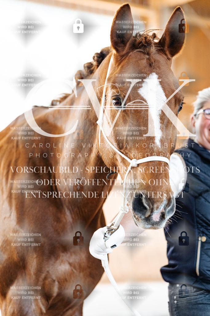 CK906185 | Turnierfotografie Pferdefotografie Trier Rheinland-Pfalz Pferdesport Reitsport Tierfotografie Sportfotografie Pferdevideo Pferdevideografie Equestrianvideography equestrianphotography  - Realisiert mit Pictrs.com