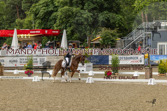 Finale LT 26 (1338 von 2370) | mandyhollmannphotographie