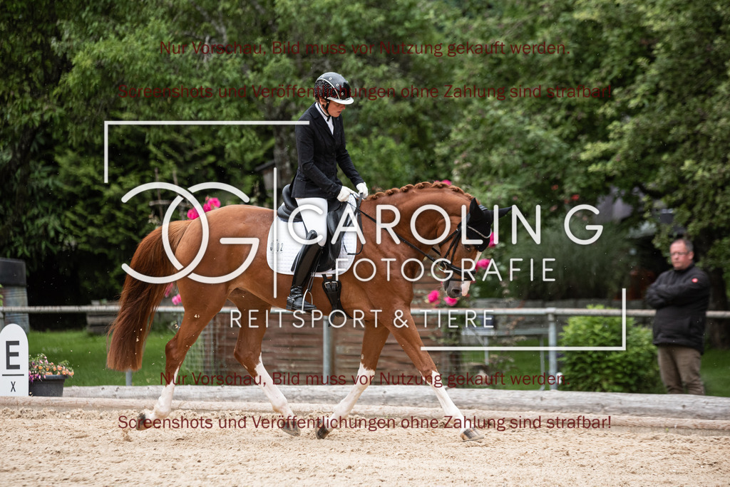 DSC_3094 | Turnierfotografin Carolin Gieschke,Reitsport Turnierfotografie Carolin G Fotografie | Turnierfotos aus Kirchheim/Teck, Esslingen, Stuttgart und dem Bodenseekreis
