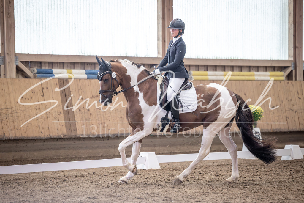 20251011-_3LI0090 | Tierfotografie Pferde, Hunde, Katzen, Haustiere.
Turnierfotografie Reitturniere, Reiten, Springreiten, Dressur in Hanau, dem Main-Kinzig-Kreis und dem Rhein-Main- Gebiet um Frankfurt