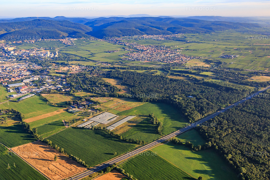Luftbild: Ordenswald und A65 aus Südosten in Neustadt an der Weinstraße im Bundesland Rheinland-Pfalz in Deutschland. Foto: IMG_091640.jpg vom 10.07.2016 durch Werner Riehm/FLY-FOTO.de