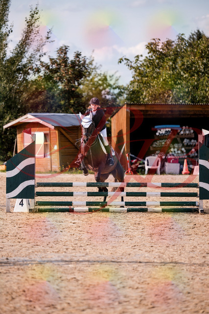 2026_10_03_Siefer-Hof_153547_Z81_47796856 | Professionelle Reitsport-, Turnier- und Eventfotografie von Robert Broda. Galerien mit ausgewählten und bearbeiteten Bildern direkt online ansehen und bestellen.