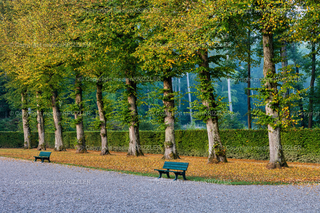 Herreninsel | medienkrizzler - Realisiert mit Pictrs.com