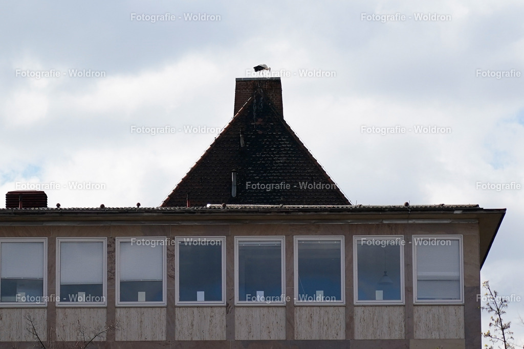 20230403 Nürnberg-27 | Fotografie Woldron