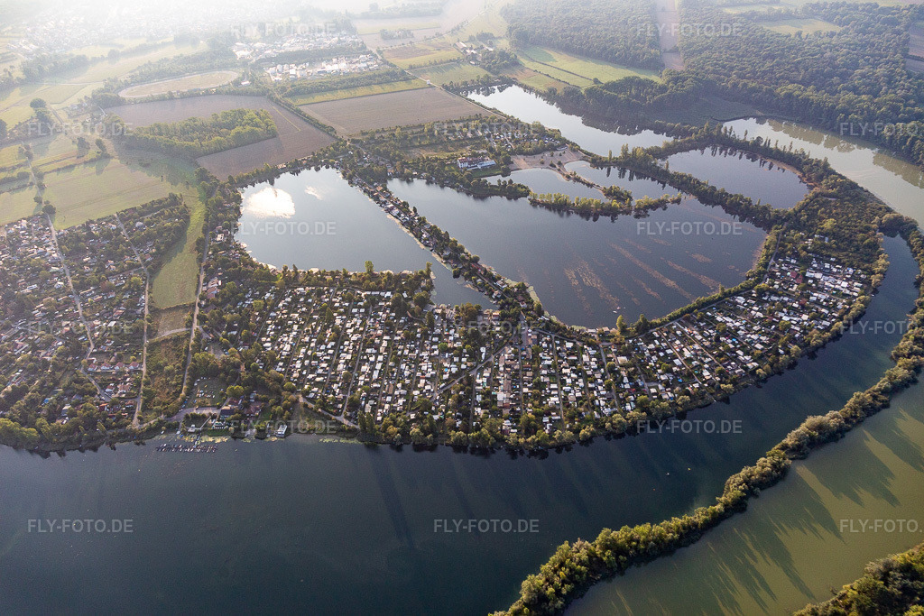 Luftbild: Blaue Adria in Altrip im Bundesland Rheinland-Pfalz in Deutschland. Foto: IMG_116855.jpg vom 25.08.2019 durch Werner Riehm/FLY-FOTO.de