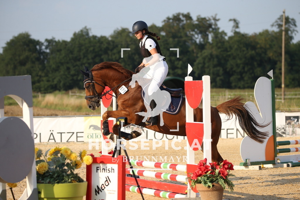 DL2Q2437 | Willkommen bei Brunnmayr - Design & Fotografie – Ihrem Spezialisten für Reitturniere und Pferdeveranstaltungen in Oberösterreich, Salzburg und Bayern! Seit über 17 Jahren sind wir leidenschaftlich dabei.
