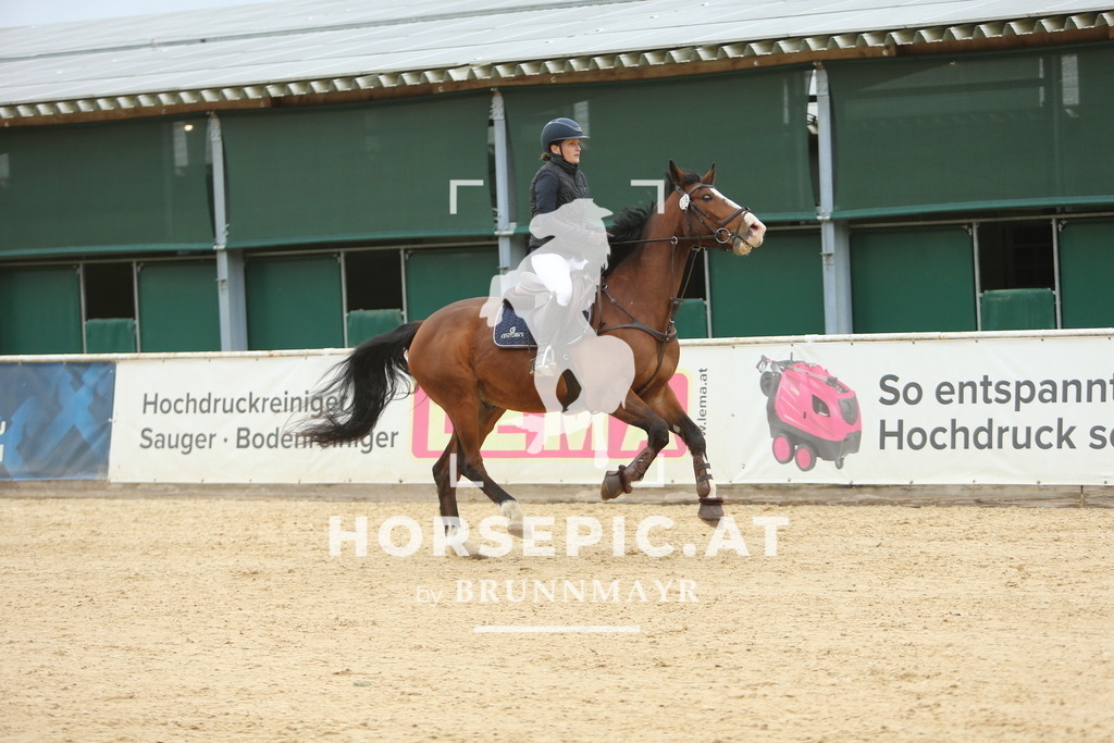 DL2Q6086 | Willkommen bei Brunnmayr - Design & Fotografie – Ihrem Spezialisten für Reitturniere und Pferdeveranstaltungen in Oberösterreich, Salzburg und Bayern! Seit über 17 Jahren sind wir leidenschaftlich dabei.