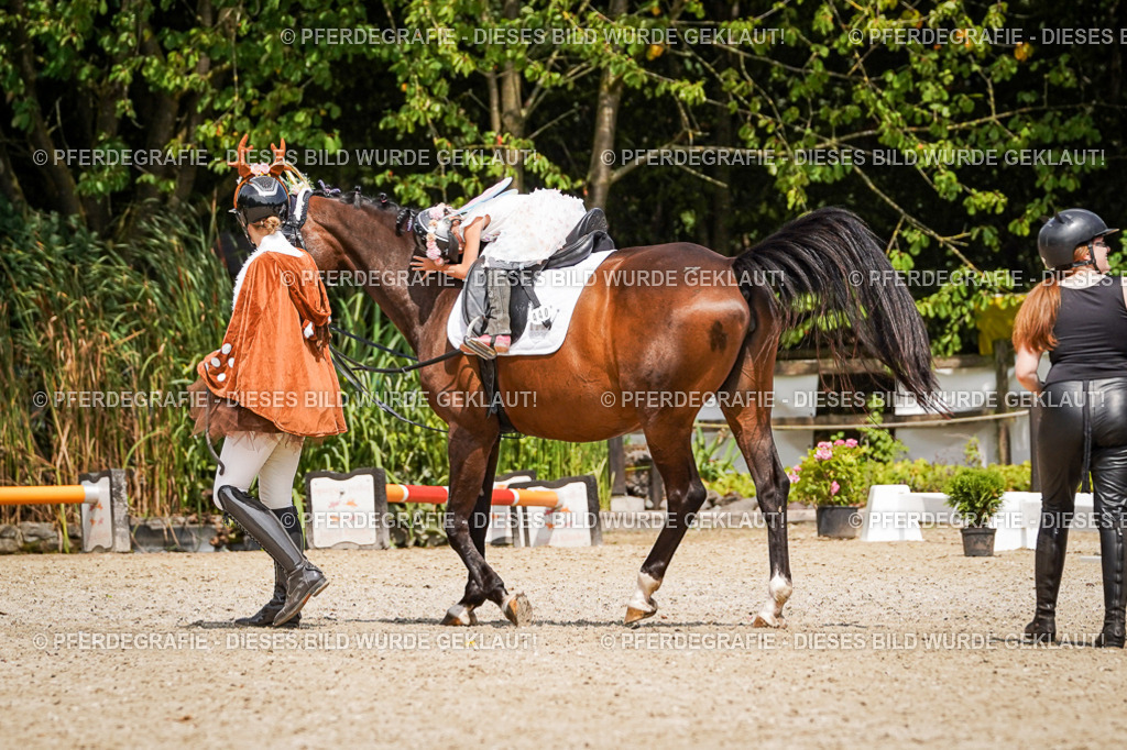 DSC03056 | Pferdegrafie