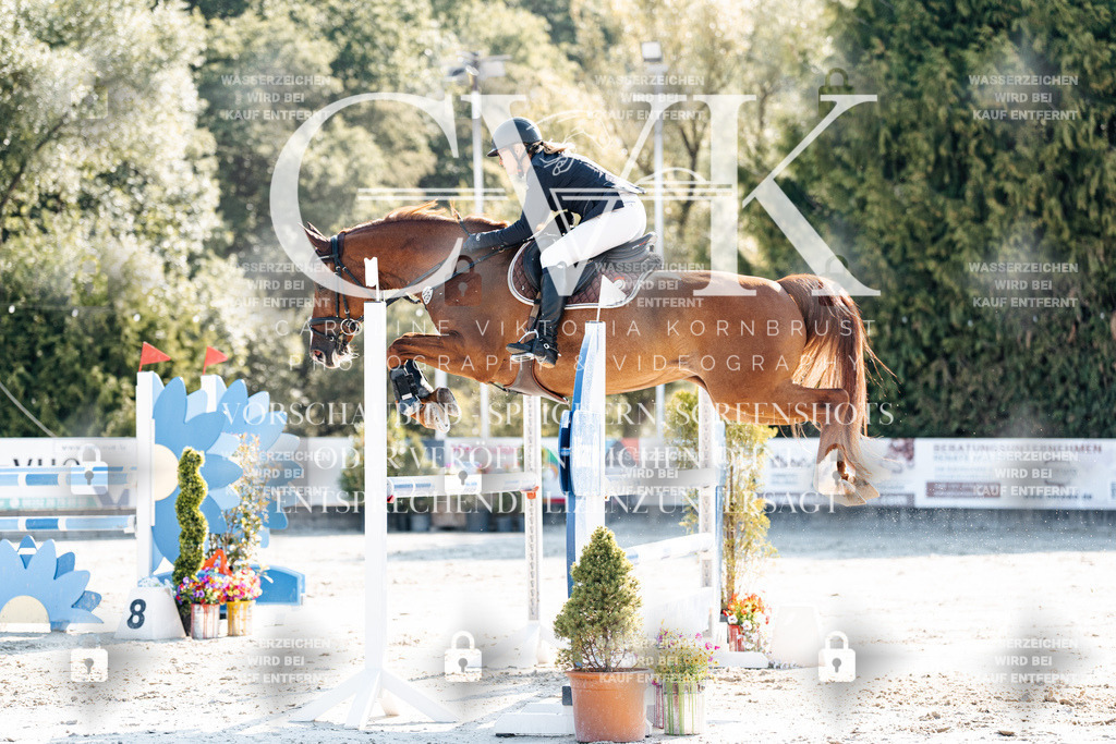 CK902006 | Turnierfotografie Pferdefotografie Trier Rheinland-Pfalz Pferdesport Reitsport Tierfotografie Sportfotografie Pferdevideo Pferdevideografie Equestrianvideography equestrianphotography  - Realisiert mit Pictrs.com