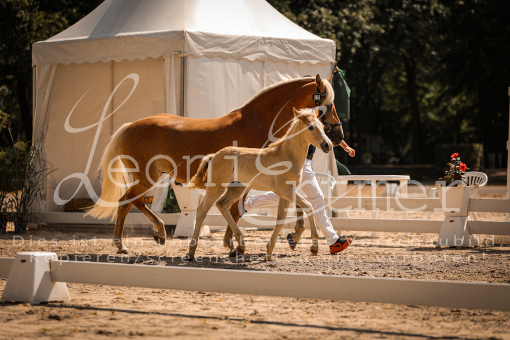 06.DoH00144 | Leoni Ertmer Photography - Realisiert mit Pictrs.com