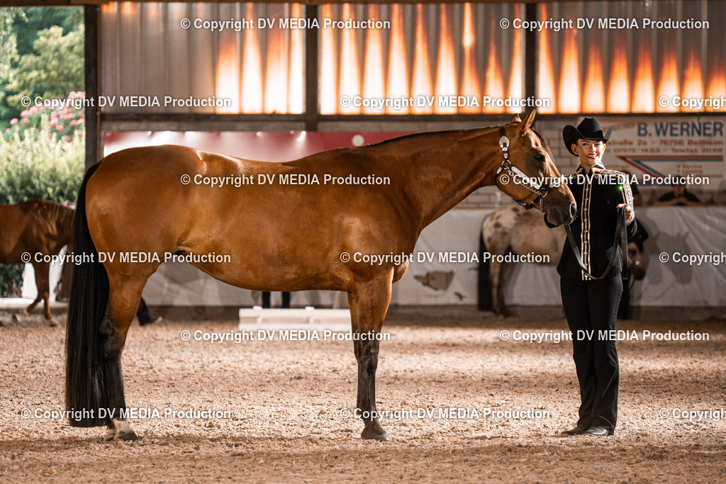 ZH200261 | dv-media-shop - Realisiert mit Pictrs.com