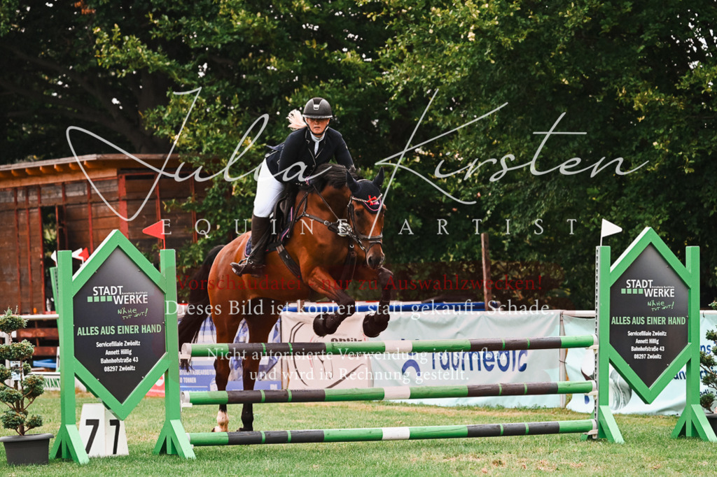 DSC_6483 | Pferde- und Turnierfotografie in Westsachsen. Pferdeportraits, Auftragszeichnungen und intuitive Kunst.