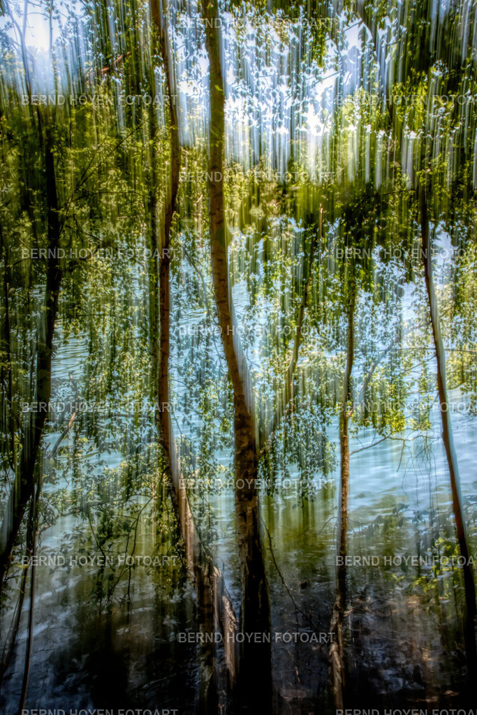 the veiling II | Fotografie einiger Bäume am Schlachtensee in Berlin, Deutschland.Die Aufnahme entstand durch Langzeitbelichtung und Mitziehen der Kamera (ICM / Wischtechnik). Durch nachträgliche Bildbearbeitung wurde ein märchenhafter Effekt erzielt. | Photograph of some trees at Schlachtensee in Berlin, Germany.The image was created using a long exposure and panning the camera (ICM / panning technique). A fairy-tale effect was achieved through subsequent image editing. - Realisiert mit Pictrs.com