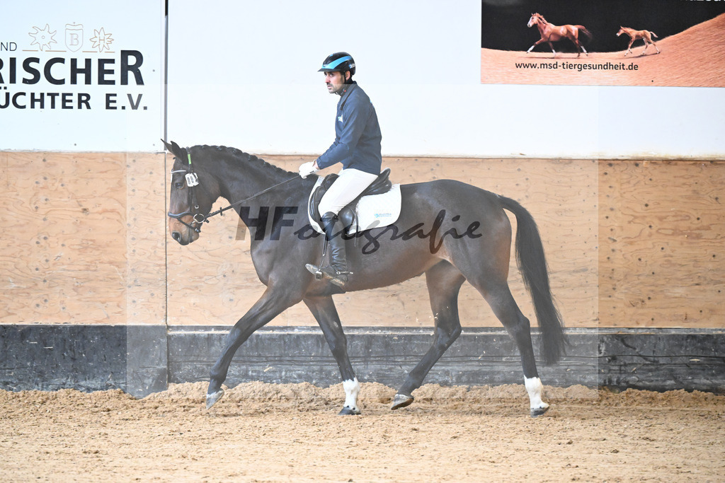 Kat-Nr. 7 Polly v. Vingino_Wernthaler_50250285 | hf-fotografie - Realisiert mit Pictrs.com