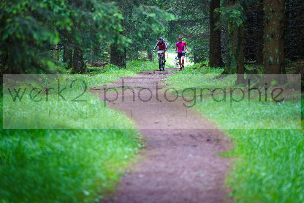 Rennsteig-Staffellauf | 24. Staffellauf - 22.06.2024 von Hörschel nach Blankenstein