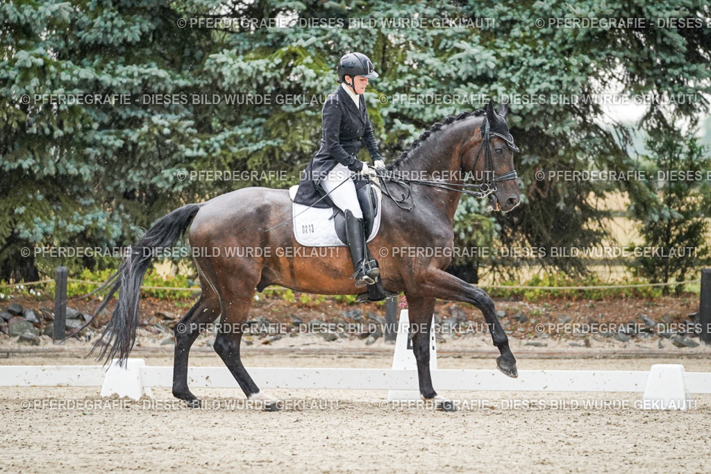 DSC08178 | Pferdegrafie