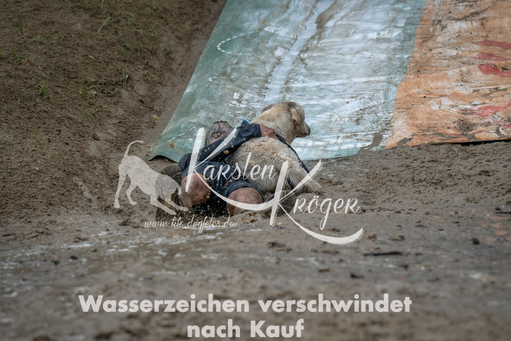 1626_ZZ92040-Bearbeitet | kk-dogfotos