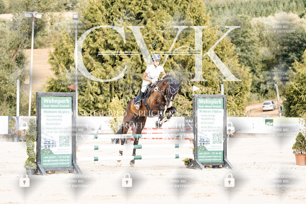 CK908893 | Turnierfotografie Pferdefotografie Trier Rheinland-Pfalz Pferdesport Reitsport Tierfotografie Sportfotografie Pferdevideo Pferdevideografie Equestrianvideography equestrianphotography  - Realisiert mit Pictrs.com