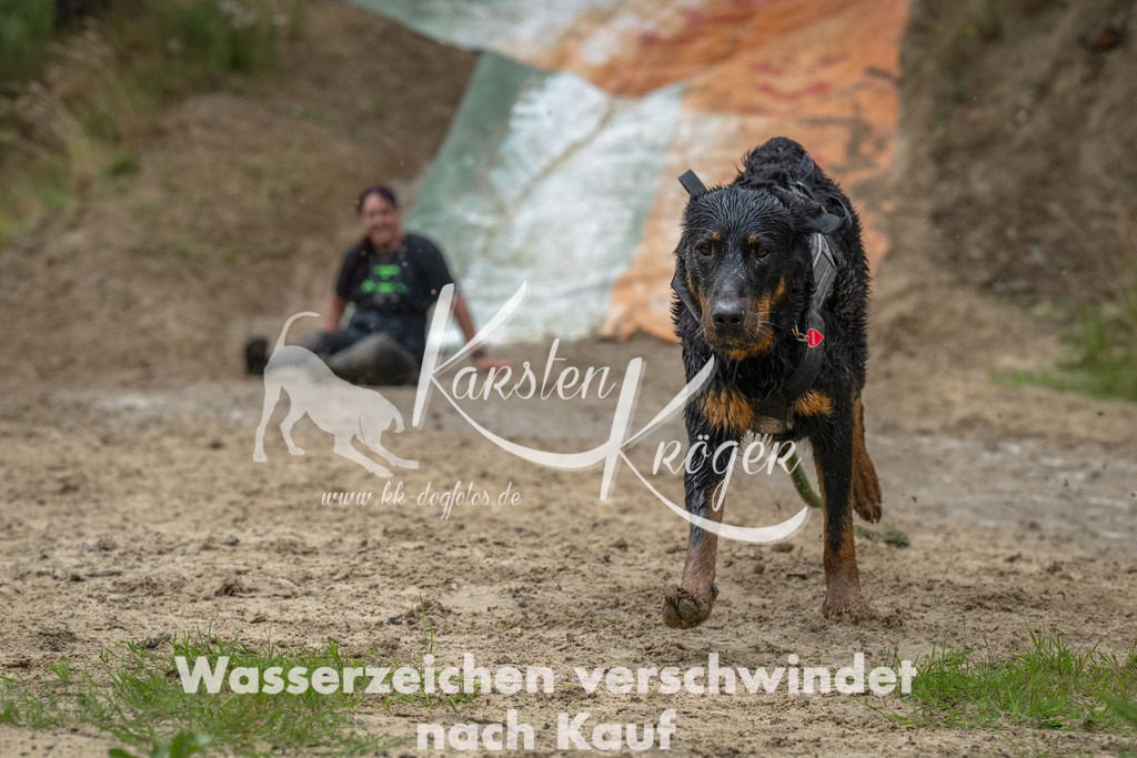 1459_ZZ93605-Bearbeitet | kk-dogfotos