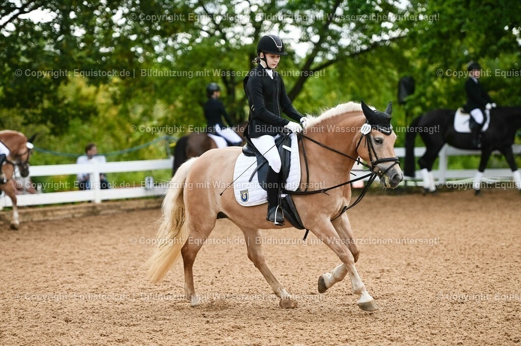 20230716_10-1_Reiter-WB Schritt - Trab - Galopp_0233 | equistock
