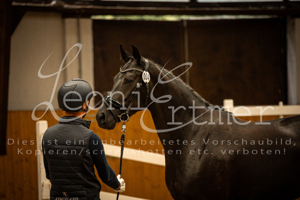 1FS_L00105 | Leoni Ertmer Photography - Realisiert mit Pictrs.com