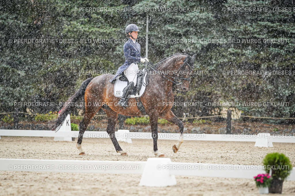 DSC08055 | Pferdegrafie