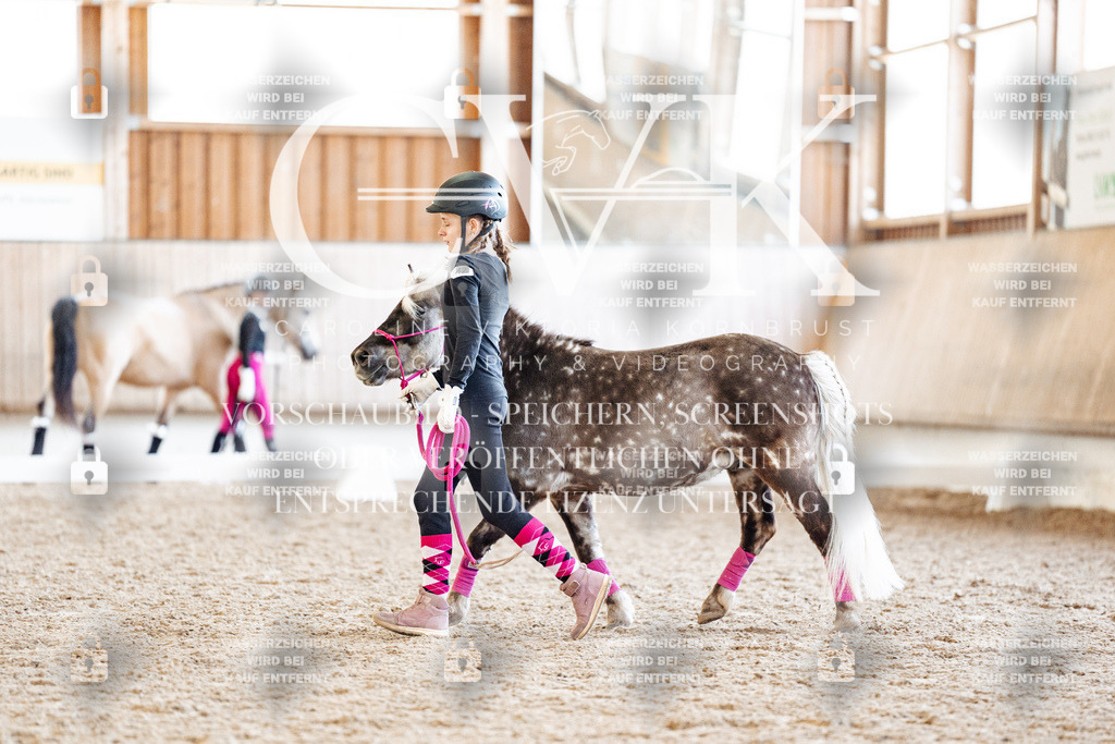 CK907065 | Turnierfotografie Pferdefotografie Trier Rheinland-Pfalz Pferdesport Reitsport Tierfotografie Sportfotografie Pferdevideo Pferdevideografie Equestrianvideography equestrianphotography  - Realisiert mit Pictrs.com