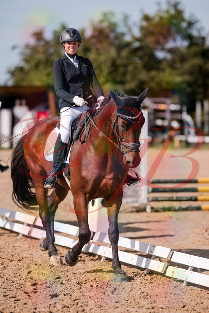 2026_10_03_Siefer-Hof_130039_Z81_51637304 | Professionelle Reitsport-, Turnier- und Eventfotografie von Robert Broda. Galerien mit ausgewählten und bearbeiteten Bildern direkt online ansehen und bestellen.