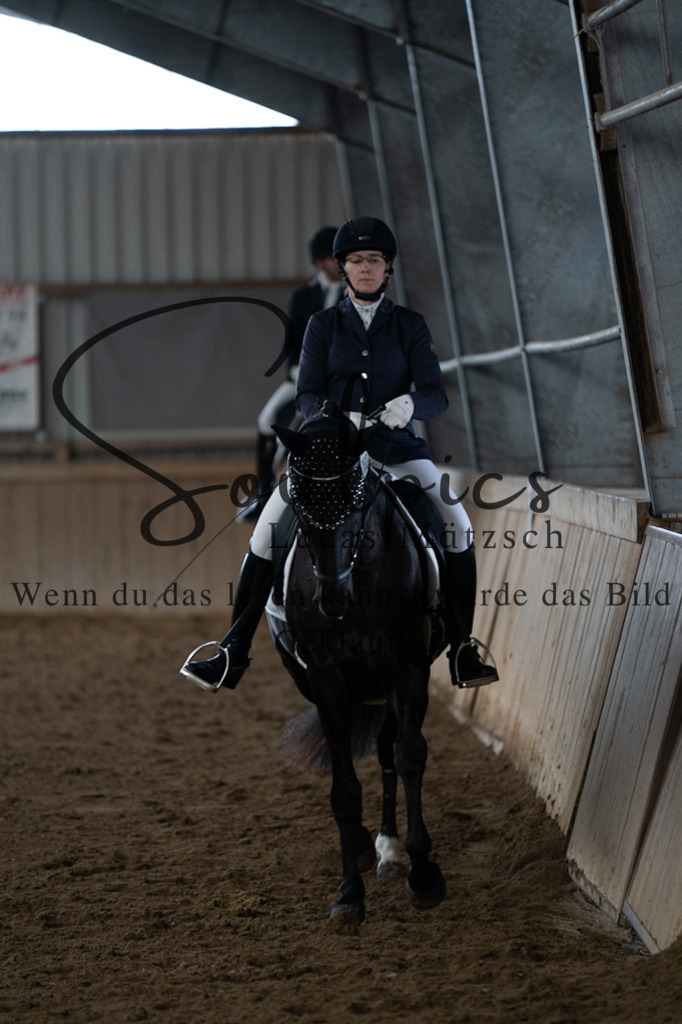 A7V04623 | Pferdefotograf