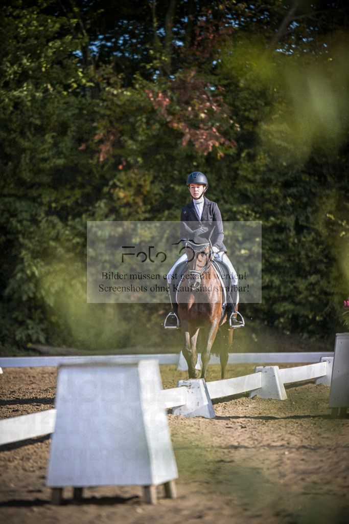 DOS_0601 | Entdecke hochwertige Reitturnierfotos von Foto Oger. Professionell, emotional und authentisch – jetzt Lieblingsmomente im Shop bestellen.Deutschlandweite Turnierfotografie. - Realisiert mit Pictrs.com