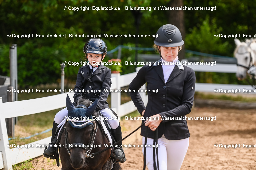20230716_11_Führzügel-WB_0178 | equistock