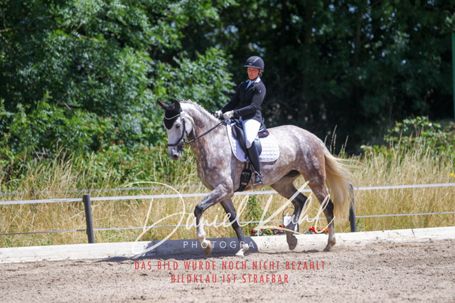 DKP46293 | Turniersportfotografie; Pferdefotografie; Dressurfotografie