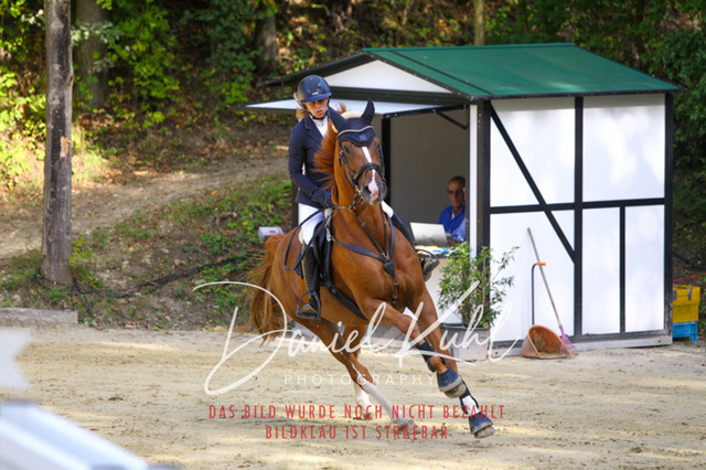 DKP42407 | Turniersportfotografie; Pferdefotografie; Dressurfotografie