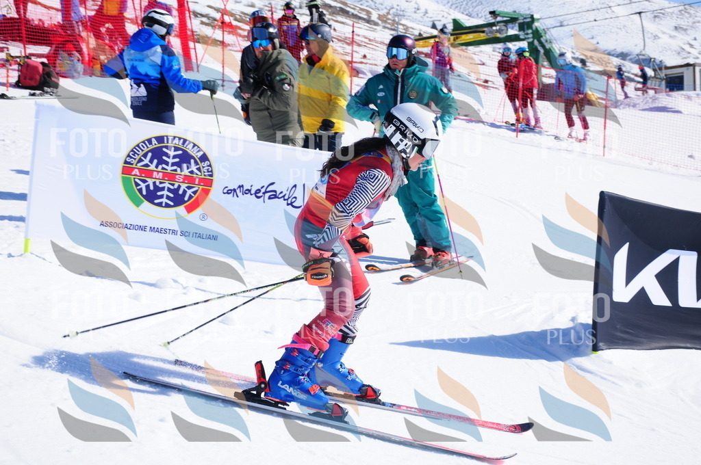 DSC_3769 | holidayphoto