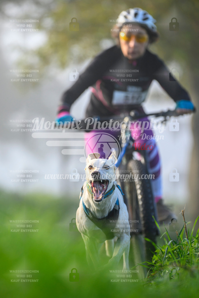 MompixPhotography_20TSB_E3_Bike-122 | PayLife