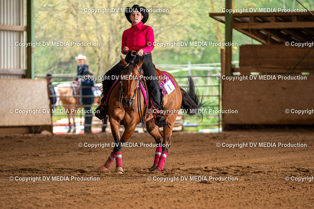 Balingen Tag 4-1160 | dv-media-shop - Realisiert mit Pictrs.com